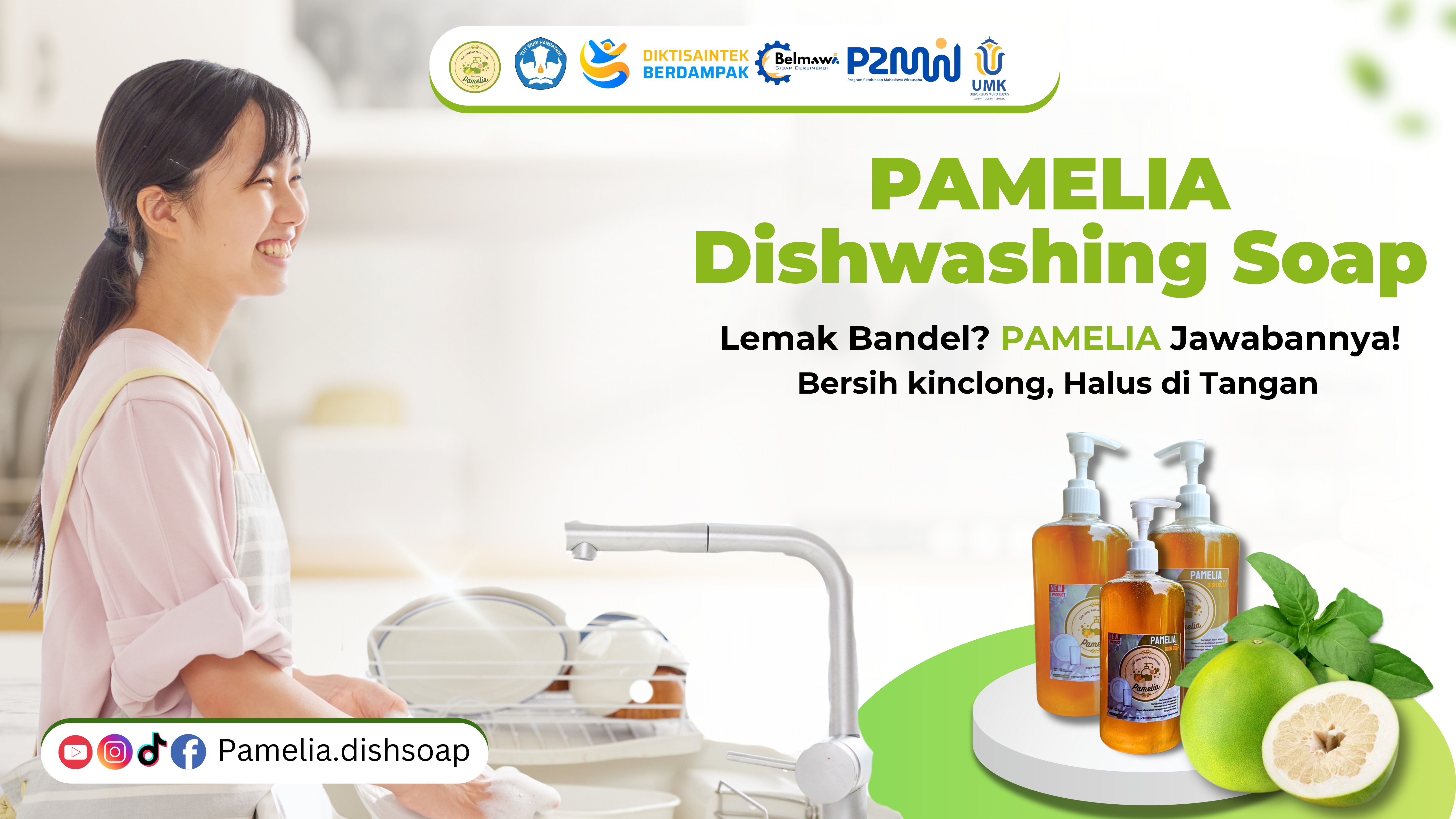 PAMELIA Promotion Header