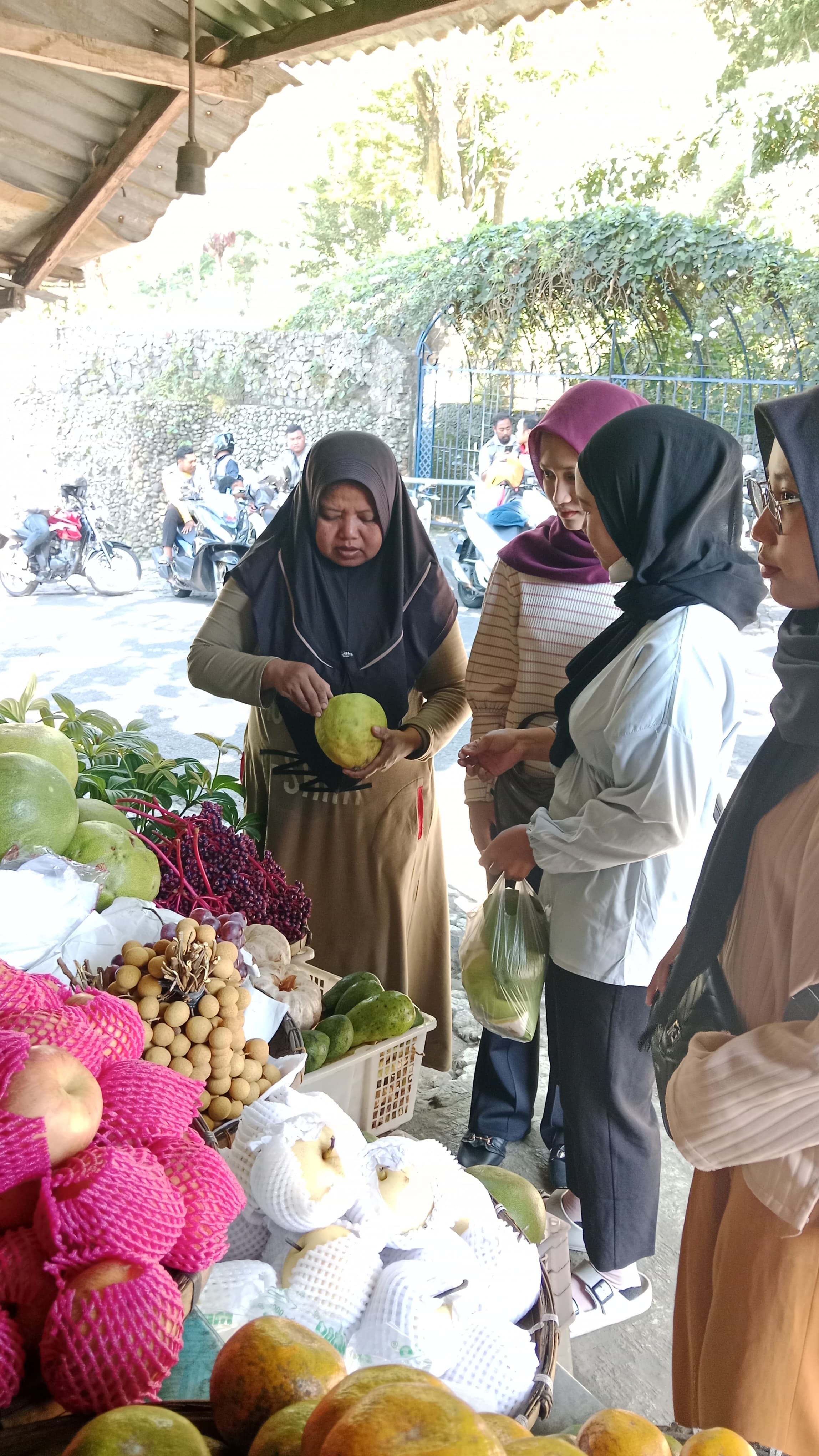 Proses pembelian dan seleksi kulit jeruk pamelo berkualitas