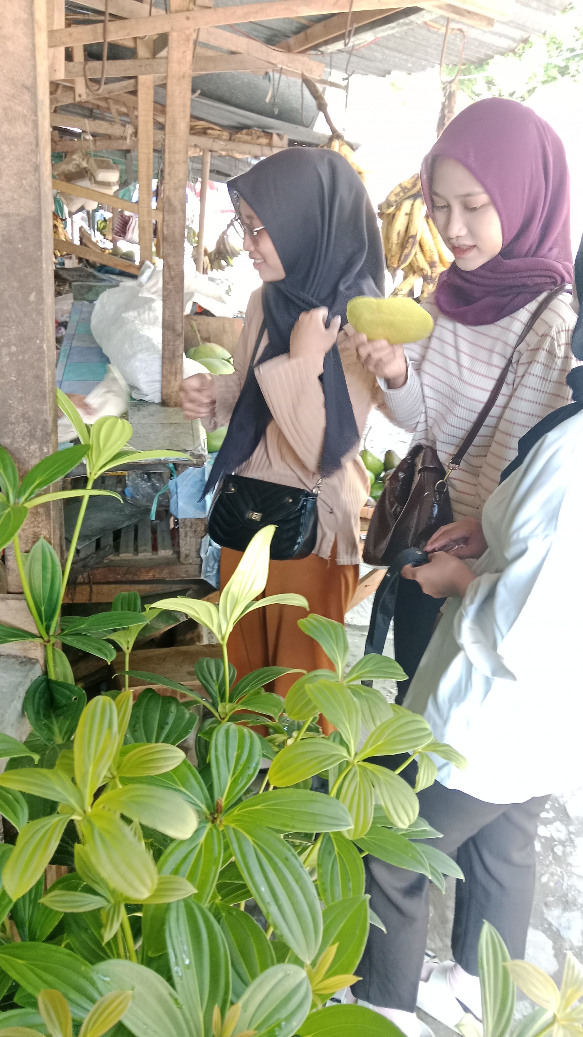 Pemilihan bahan alami terbaik untuk formula PAMELIA