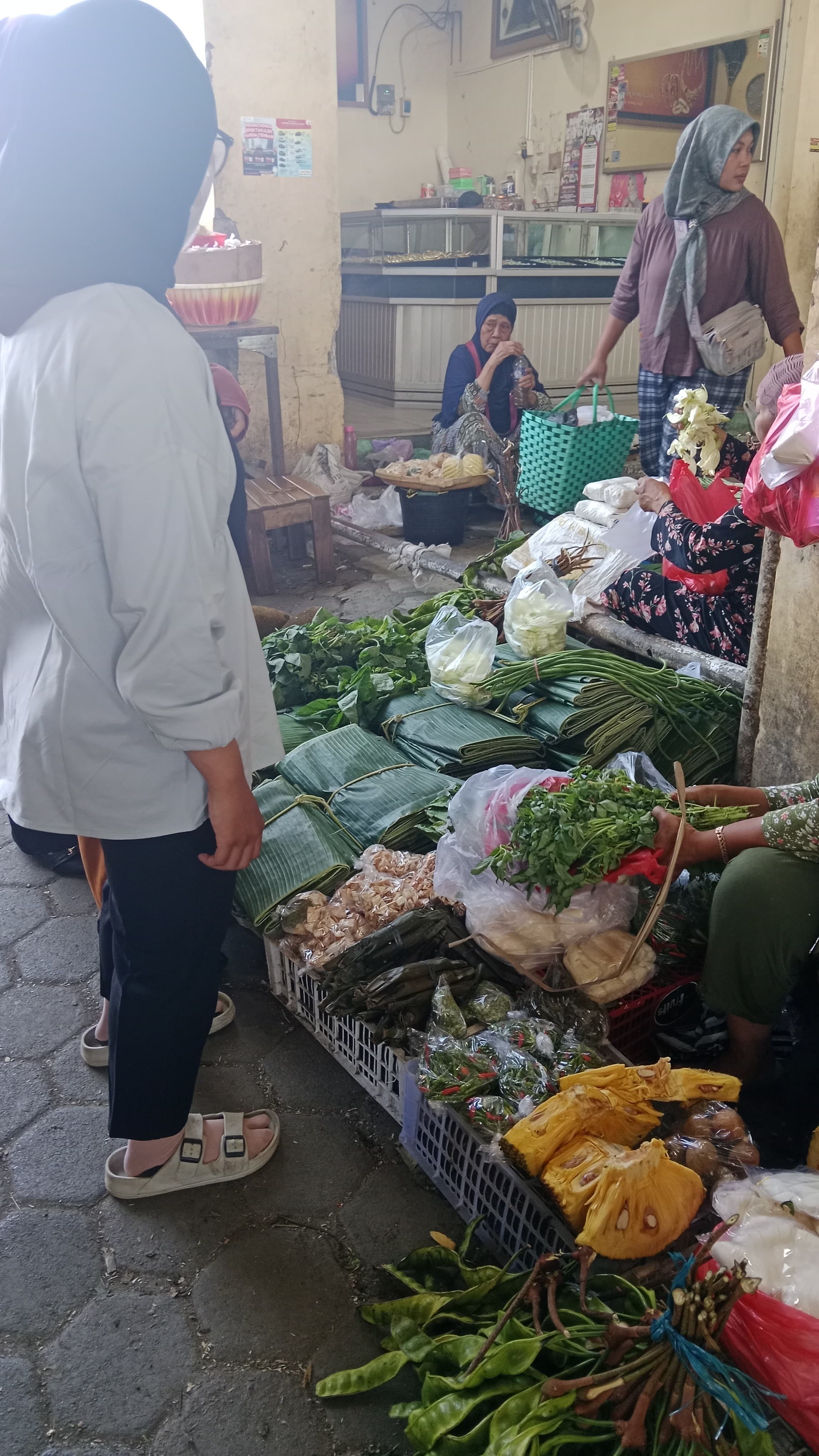 Quality control pemilihan bahan daun kemangi segar